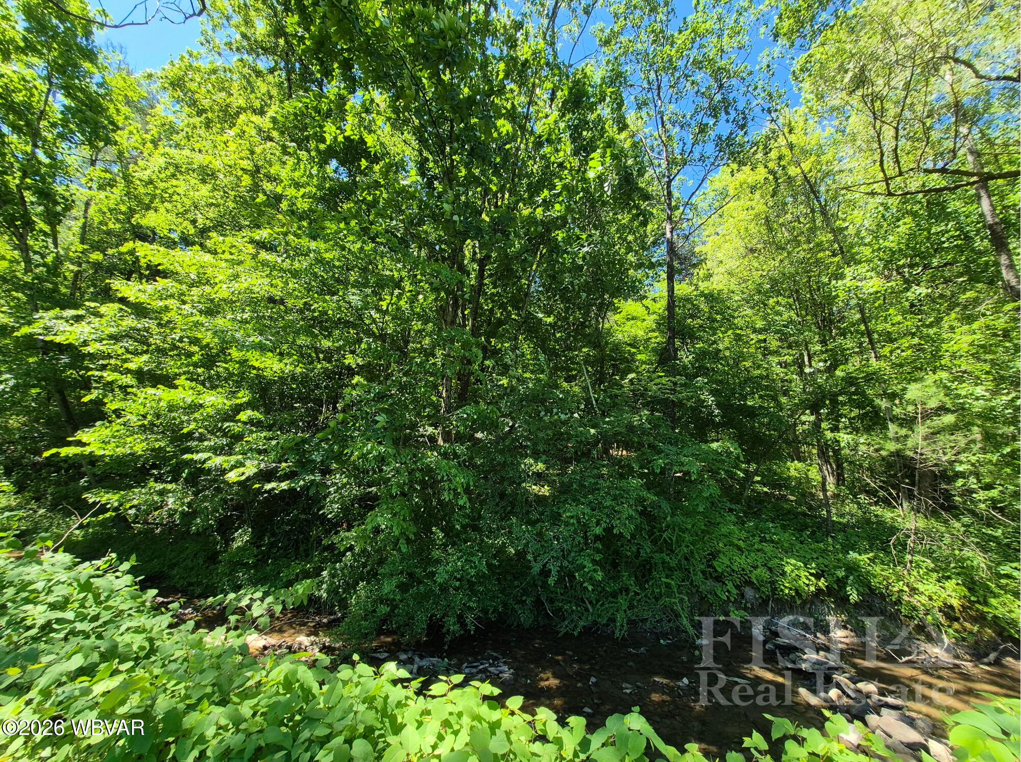 422 Big Plum Run Road Lock Haven, PA 17745 - Photo 28 of 31 Gallery Image 28