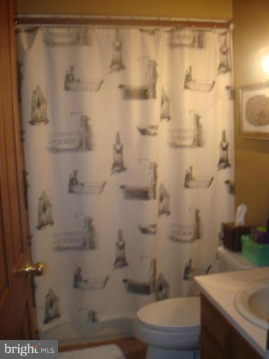 10225 Old Court Road Woodstock, MD 21163 - Photo 16 of 29 Half Bath 1