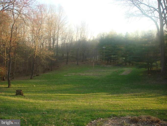 10225 Old Court Road Woodstock, MD 21163 - Photo 5 of 29 Back yard
