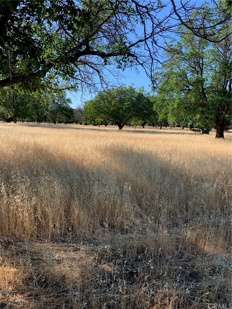 9555 Highway 29 Lower Lake, CA 95457 - Photo 1 of 2 a view of outdoor space and yard