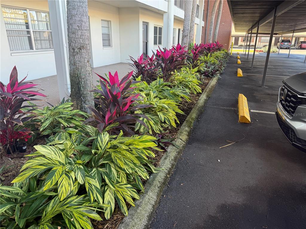 2452 Enterprise Road, Unit 29 Clearwater, FL 33763 - Photo 21 of 21