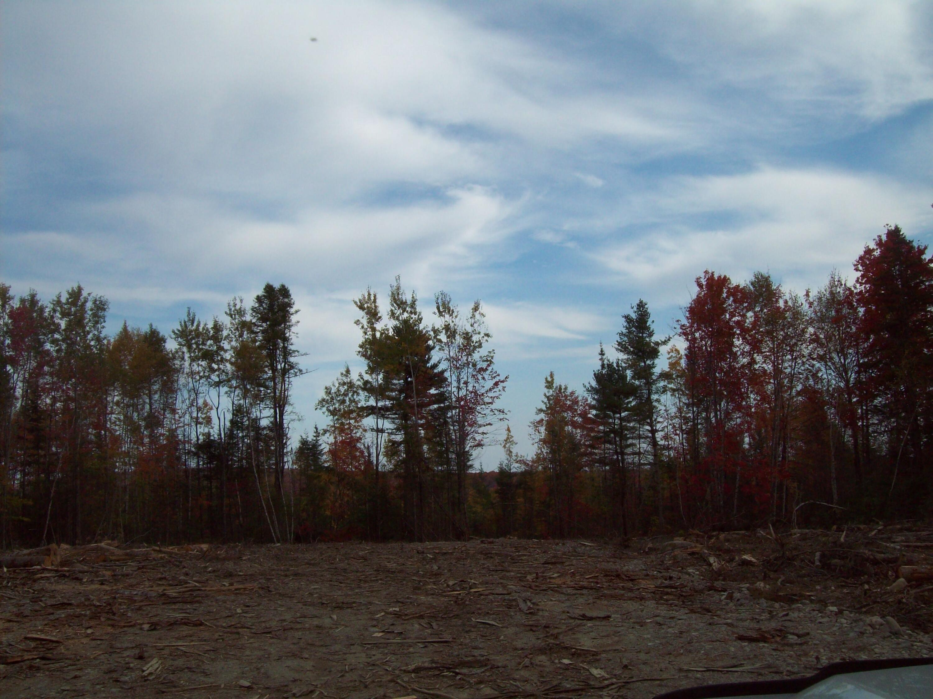 Tbd Tbd Road Carroll Plt, ME 04487 - Photo 7 of 15 100_2389