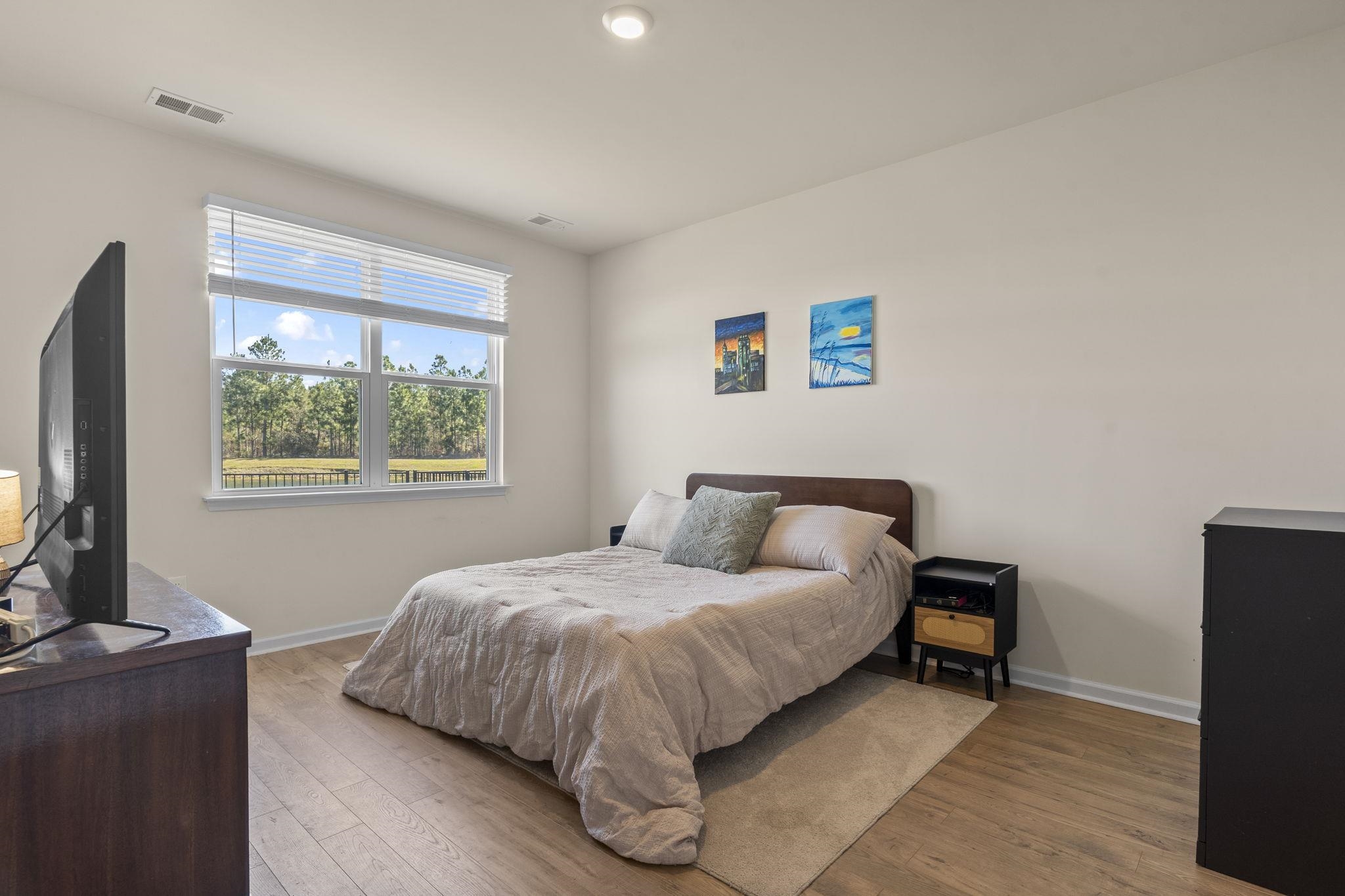 3725 Bells Lk Circle Longs, SC 29568 - Photo 22 of 39