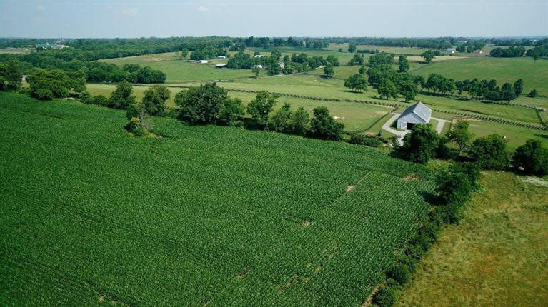 1 Paynes Mill Road Versailles, KY 40383 - Photo 3 of 36 Photo 3