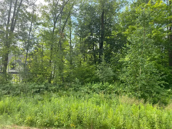 $30,000 | Tbd Tbd 175th, Milaca, MN 56353