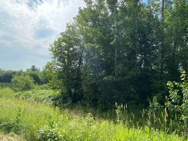 $39,500 | Tbd Tbd 175th, Milaca, MN 56353