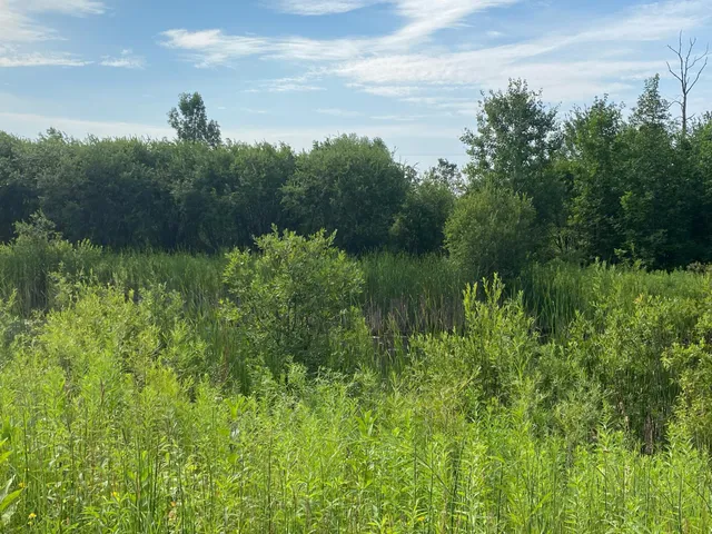 $39,500 | Tbd Tbd 175th, Milaca, MN 56353