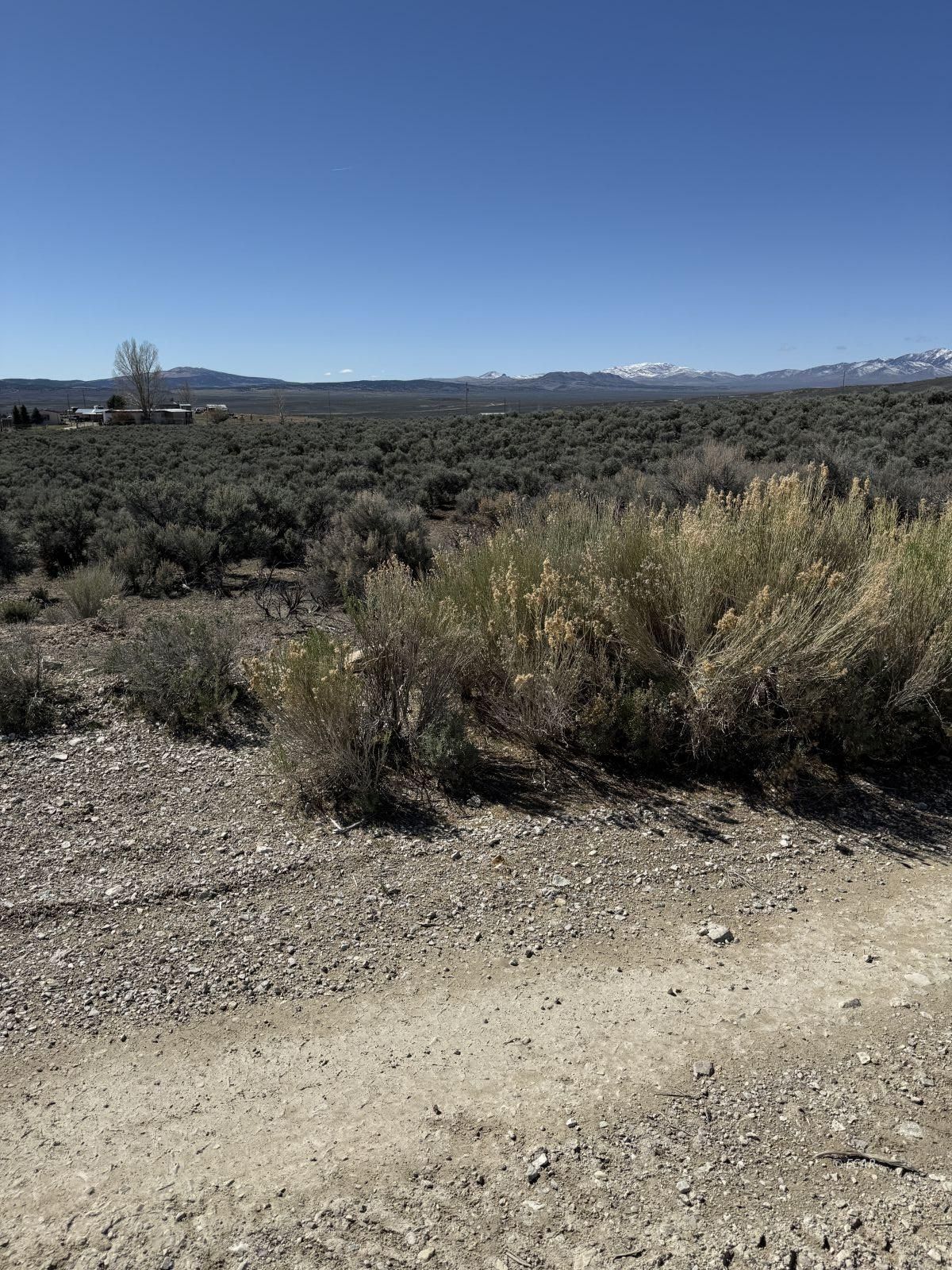 Beauregard Ave Spring Creek Spring Creek, NV 89815 - Photo 3 of 8