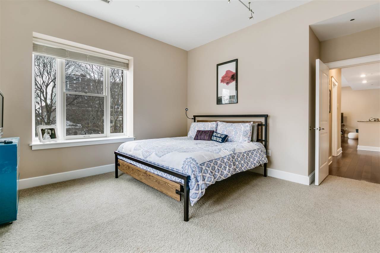 27 Library Street Northeast, Unit 302 Grand Rapids, MI 49503 - Photo 15 of 27