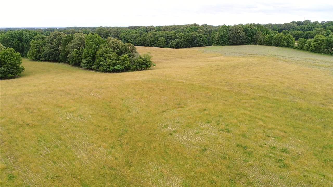 Maple Hill Road Newbern, TN 38059 - Photo 1 of 1 Photo 1