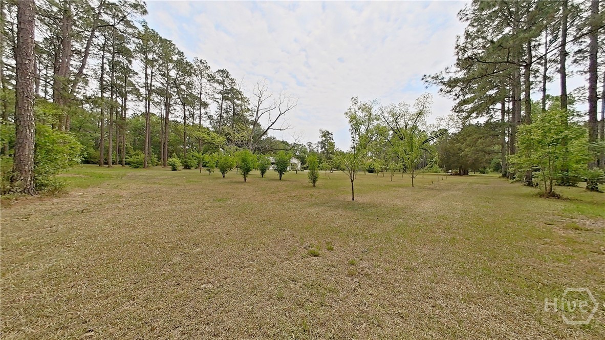 2650 Hadley Ferry Road Cairo, GA 39828 - Photo 42 of 71