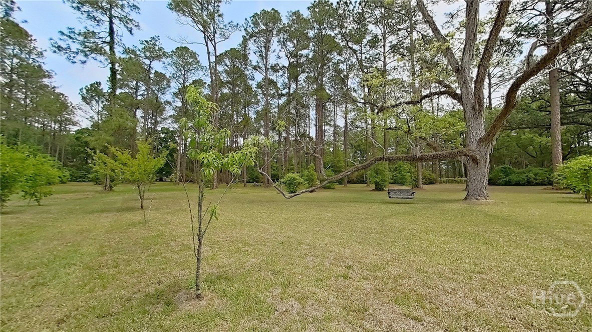 2650 Hadley Ferry Road Cairo, GA 39828 - Photo 44 of 71