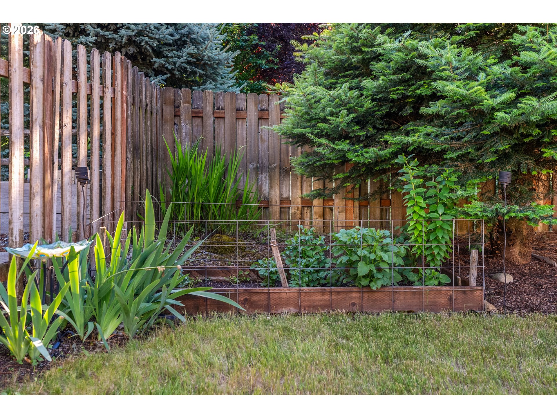 945 Northwest Angel Heights Road Stevenson, WA 98648 - Photo 32 of 41 a view of a backyard with plants
