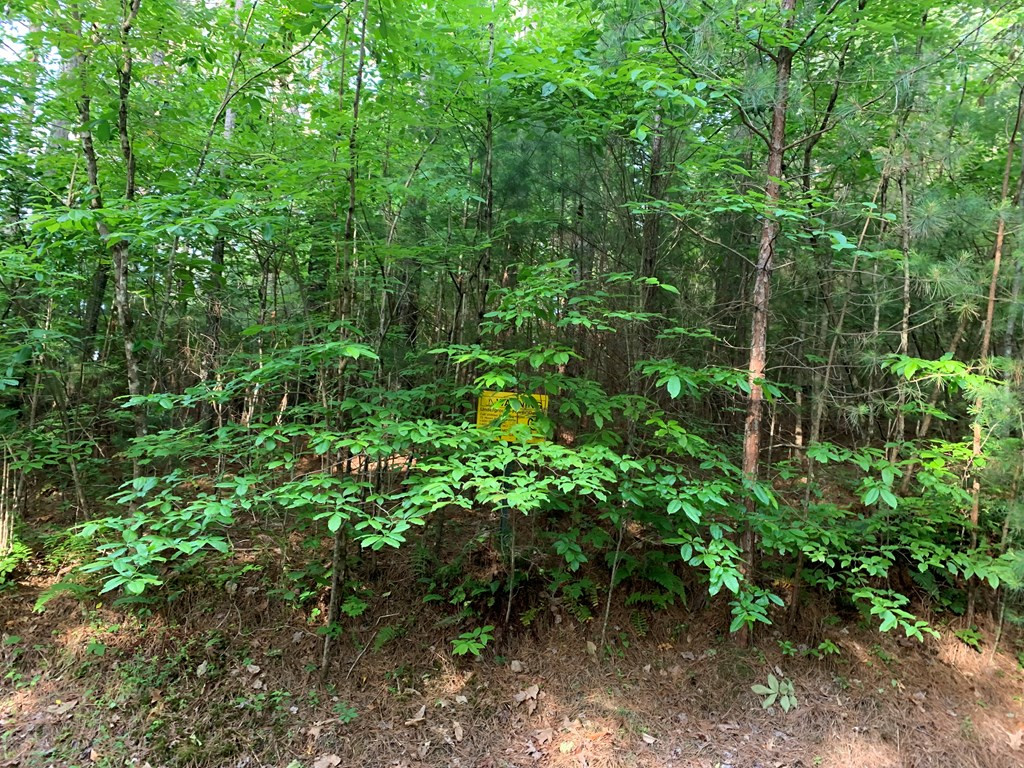 Lot 43 Kestrel Ridge Circle Murphy, NC 28906 - Photo 10 of 24 Gallery Image 10