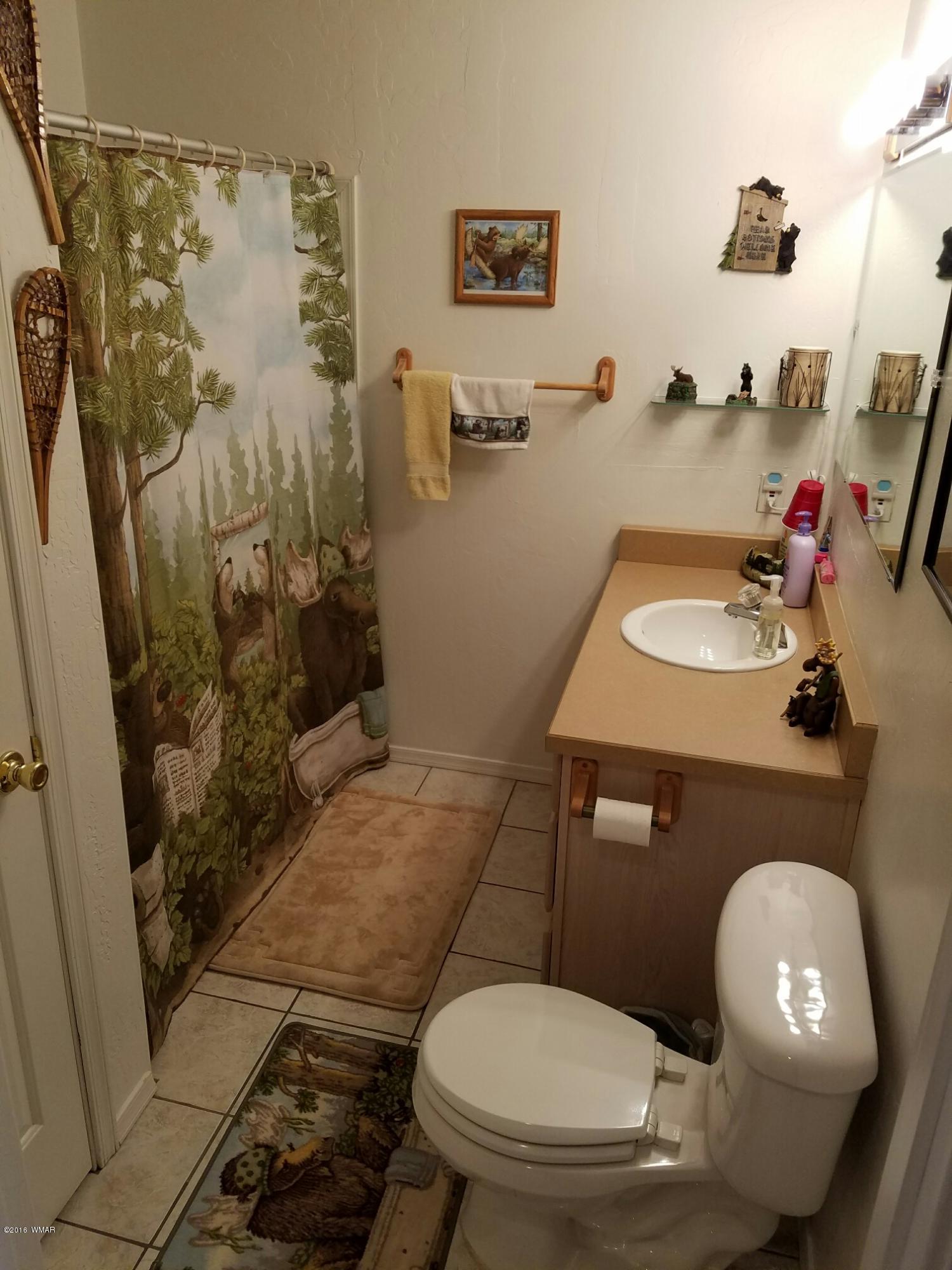 3941 West Thornton Road Show Low, AZ 85901 - Photo 7 of 20