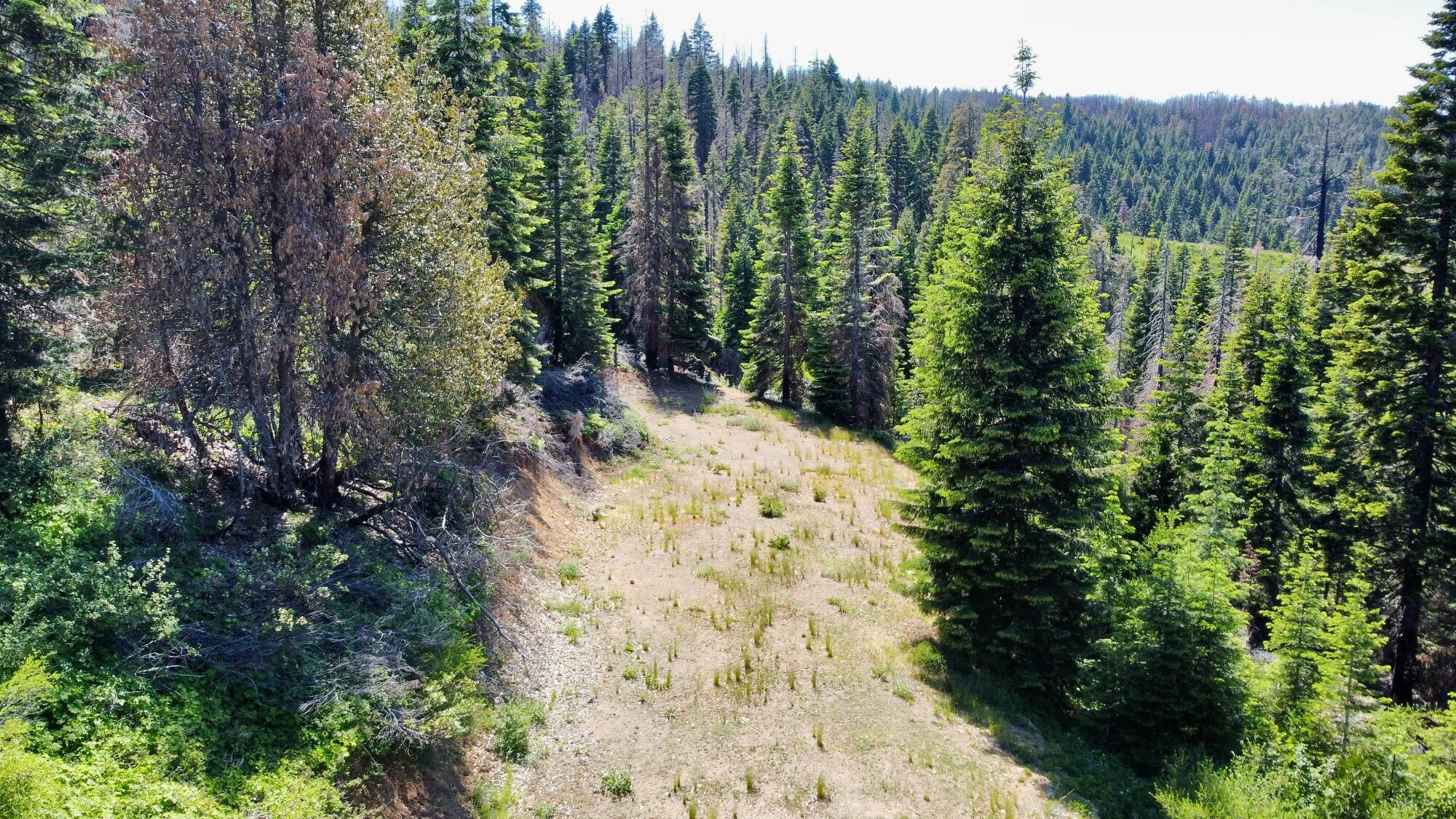 40-acres 40-acres Ammon Ridge Road Willow Creek, CA 95573 - Photo 13 of 28
