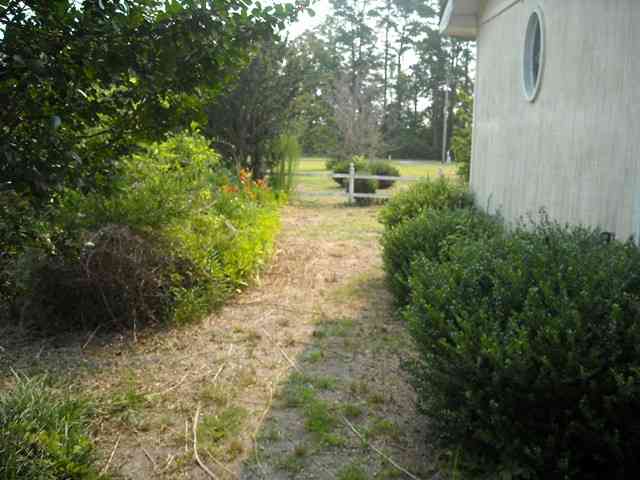 385 Thompson Road Hemingway, SC 29554 - Photo 4 of 15