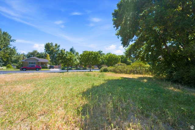 300 East S, Unit 2 Logan, UT 84321 - Photo 28 of 38 Expansive land parcel featuring natural grass coverage and mature perimeter trees