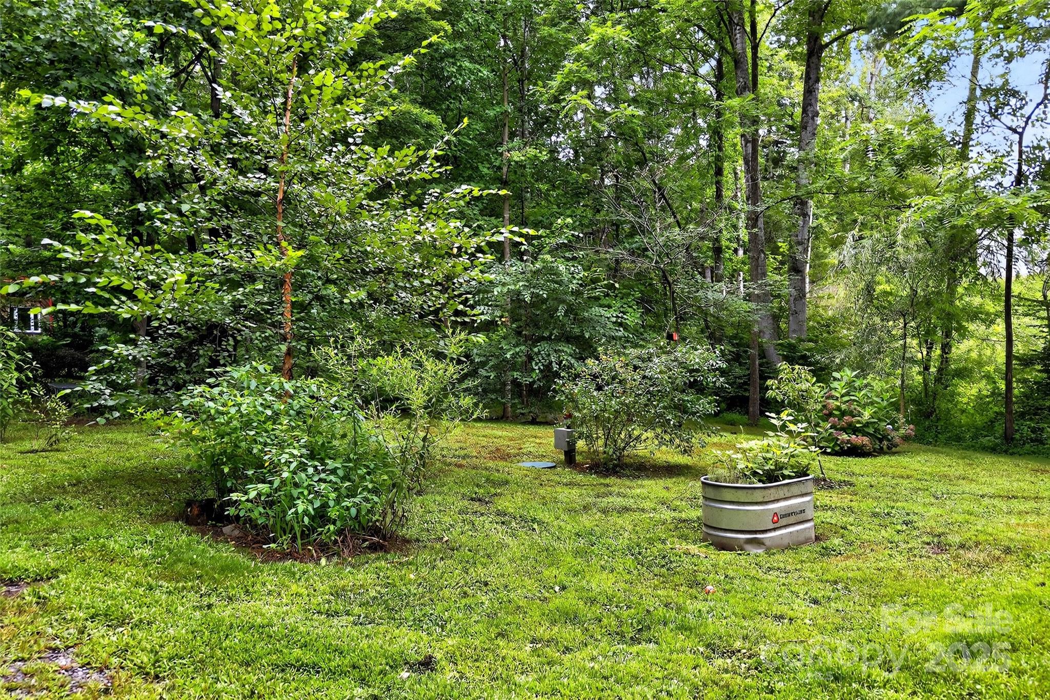 450 Lakey Gap Road Black Mountain, NC 28711 - Photo 34 of 48 a view of a backyard with table and chairs and plants
