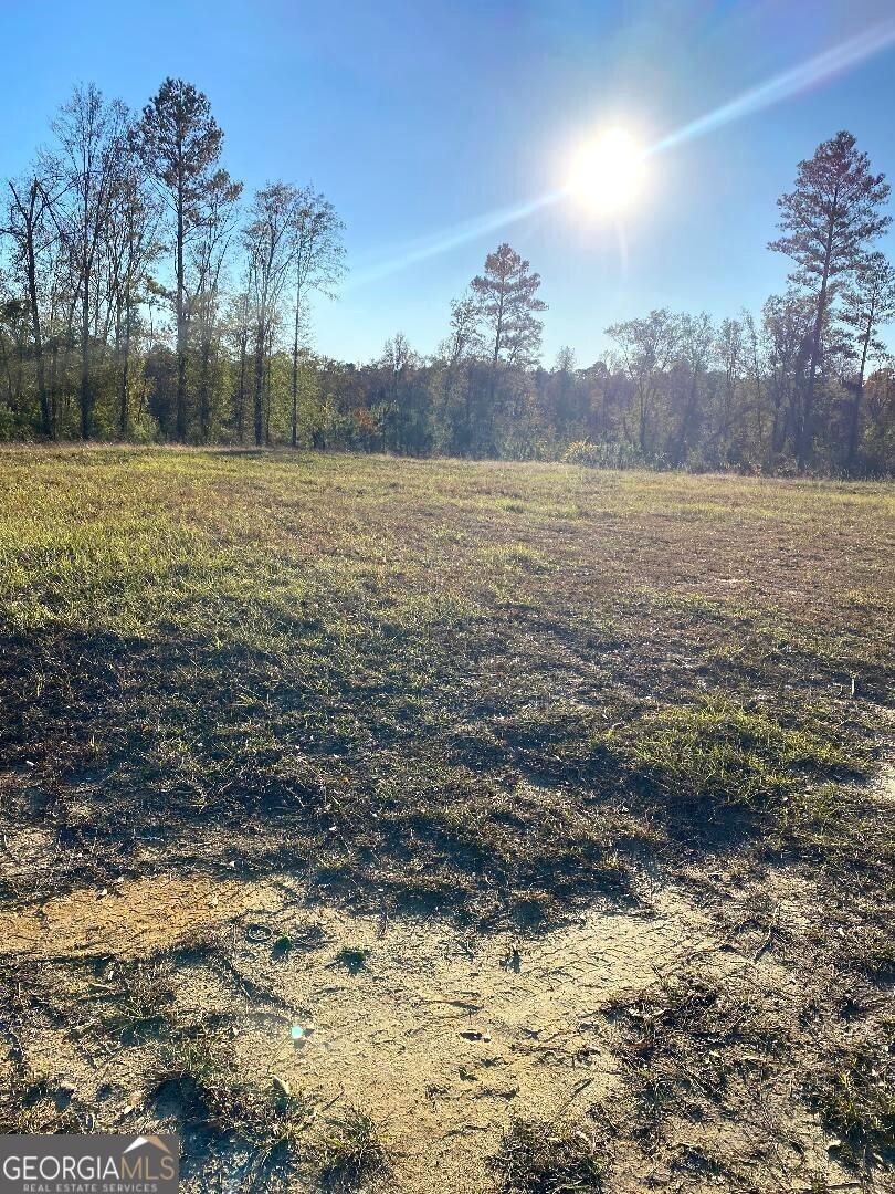 0 Modoc Road Swainsboro, GA 30401 - Photo 3 of 8 a view of a lake view