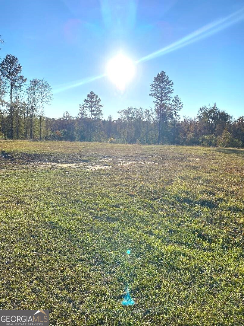 0 Modoc Road Swainsboro, GA 30401 - Photo 5 of 8