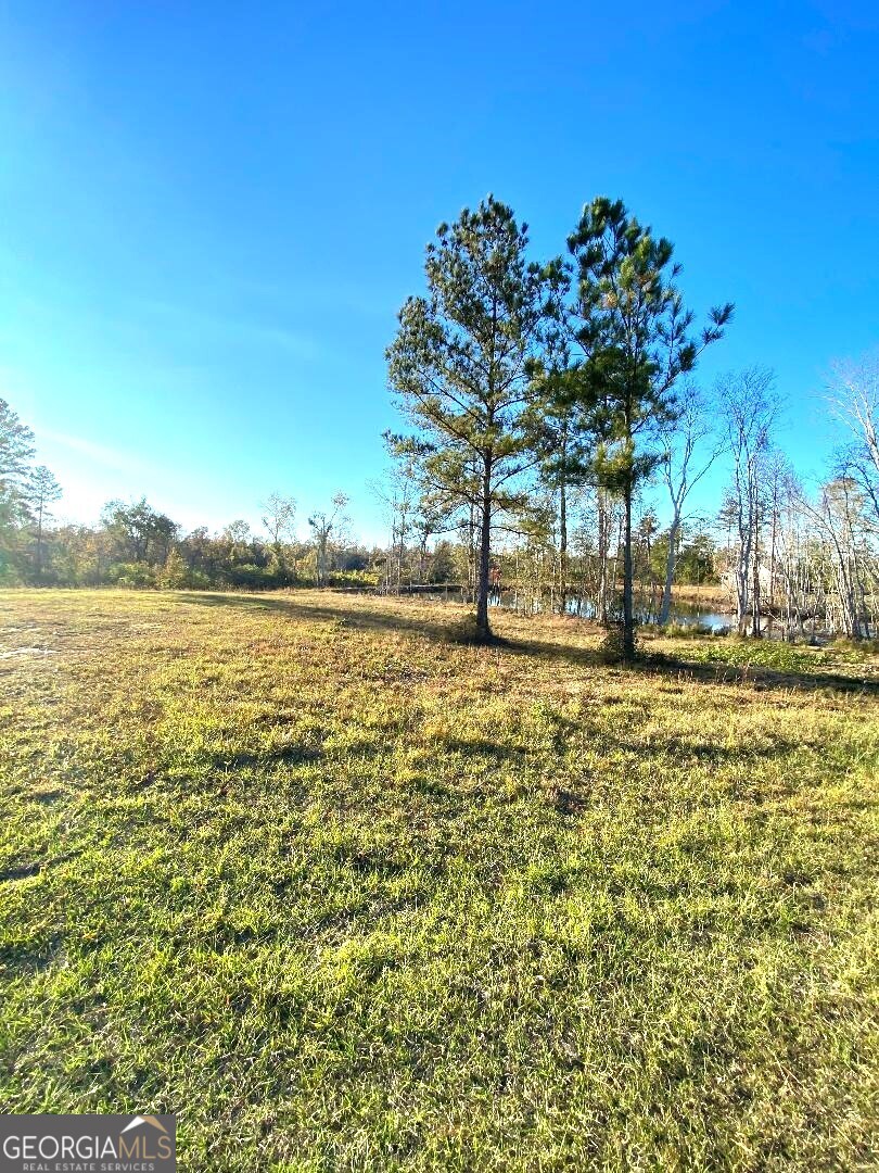 0 Modoc Road Swainsboro, GA 30401 - Photo 6 of 8 a view of ocean view