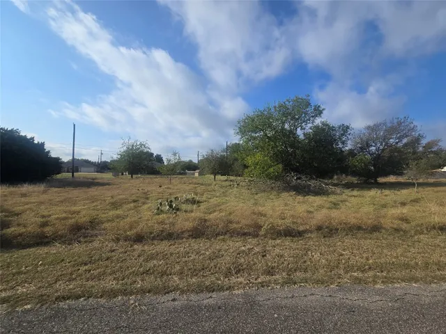 a view of a field with large trees