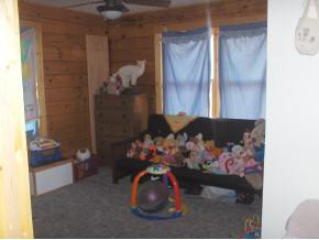 298 Rocky Branch Road Elizabethton, TN 37643 - Photo 6 of 6 Photo 6