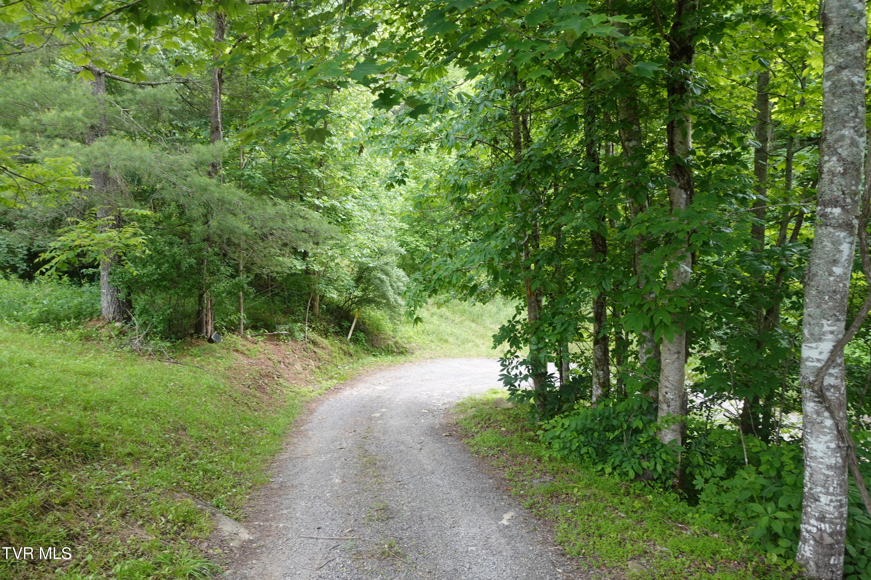 639 Dream Farm Road Birchleaf, VA 24220 - Photo 143 of 153 DSC00377
