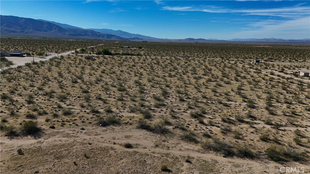 779 Quail Bush Road Johnson Valley, CA 92285 - Photo 9 of 10