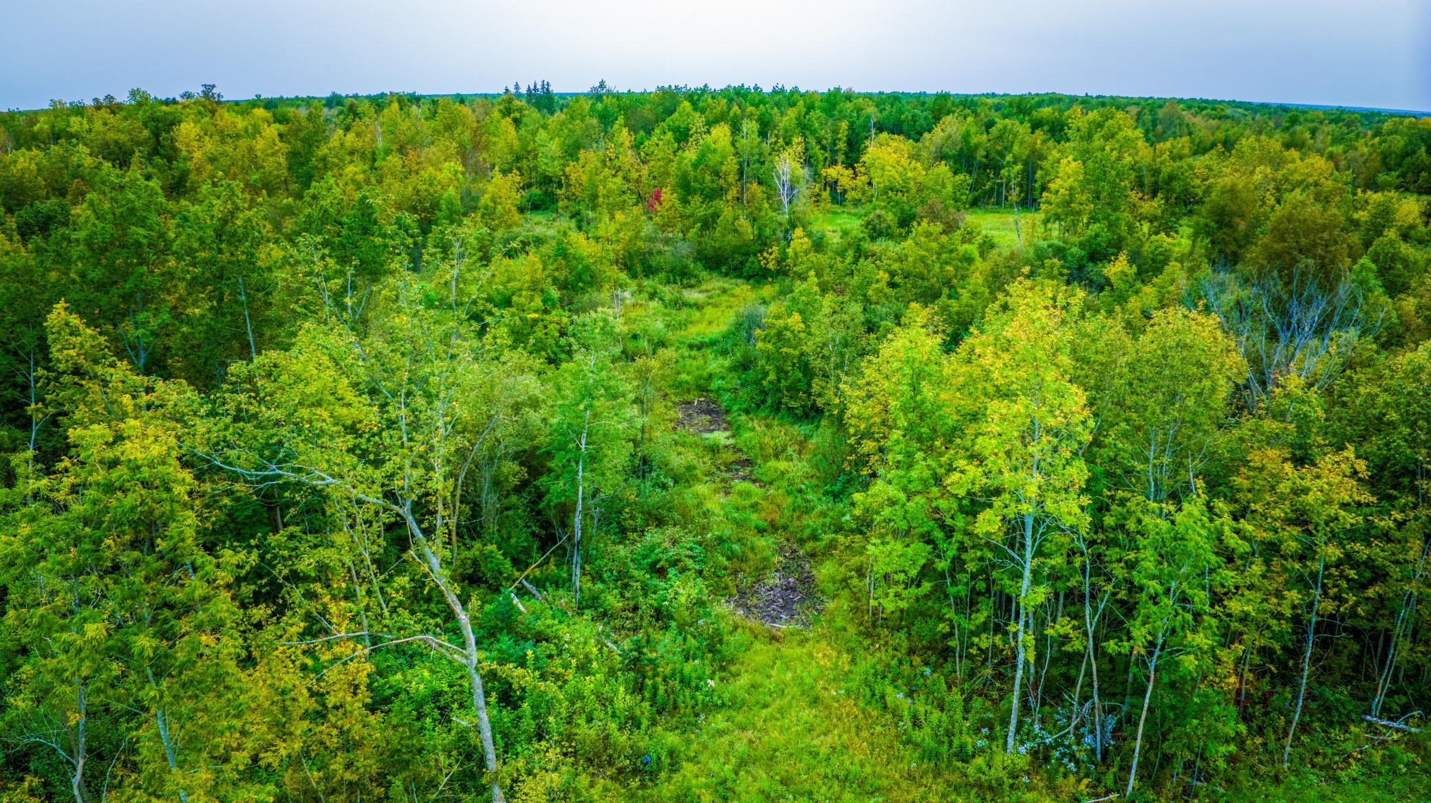 12479 Battle Road Northeast Blackduck, MN 56630 - Photo 11 of 37