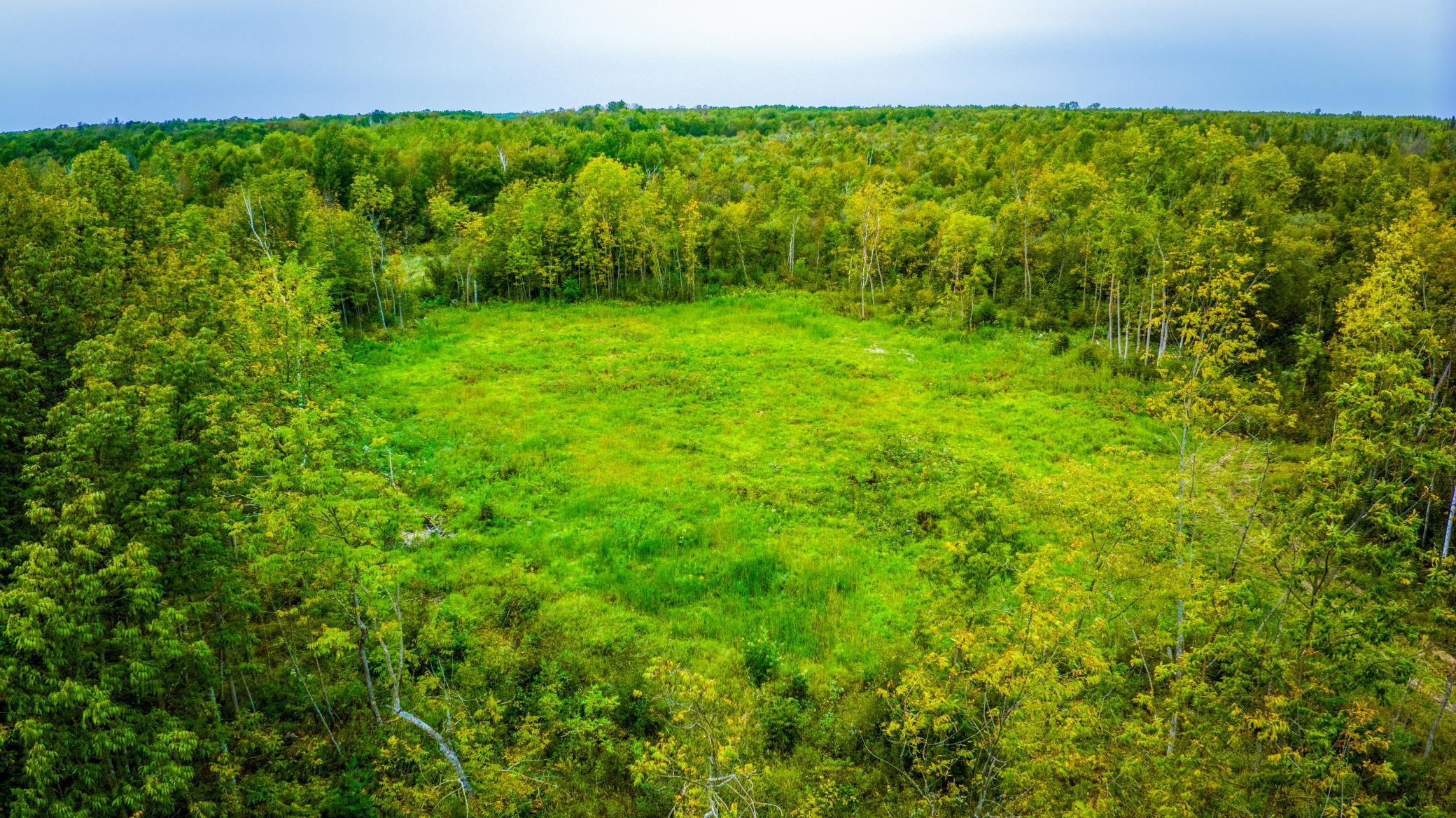 12479 Battle Road Northeast Blackduck, MN 56630 - Photo 12 of 37