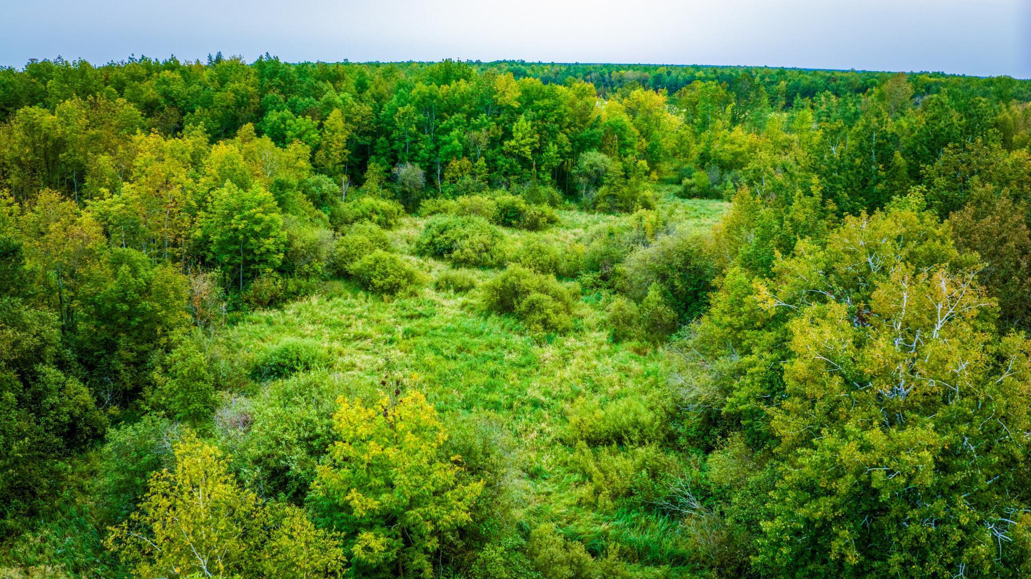 12479 Battle Road Northeast Blackduck, MN 56630 - Photo 14 of 37
