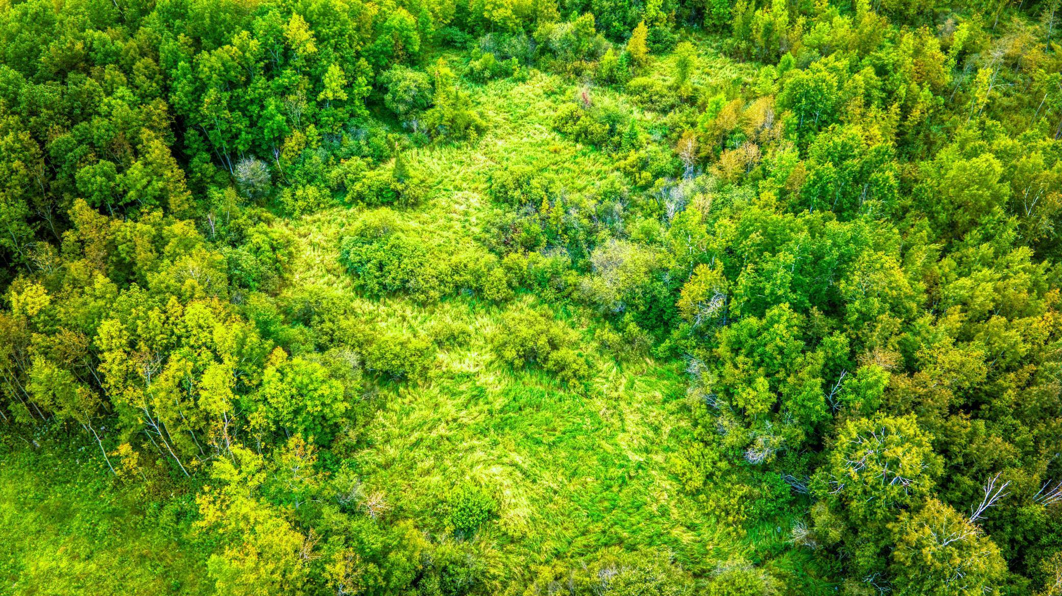 12479 Battle Road Northeast Blackduck, MN 56630 - Photo 15 of 37