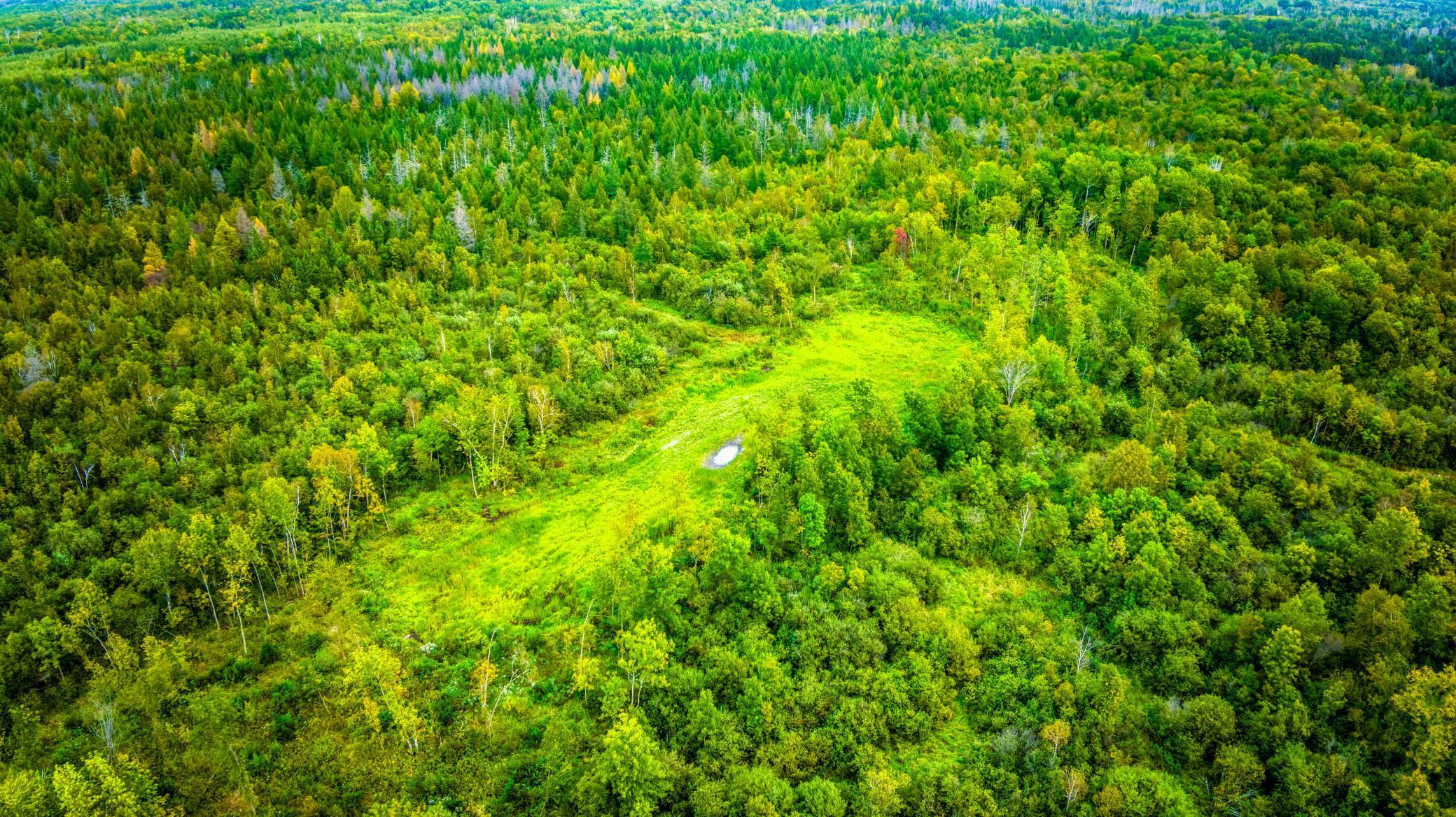 12479 Battle Road Northeast Blackduck, MN 56630 - Photo 17 of 37