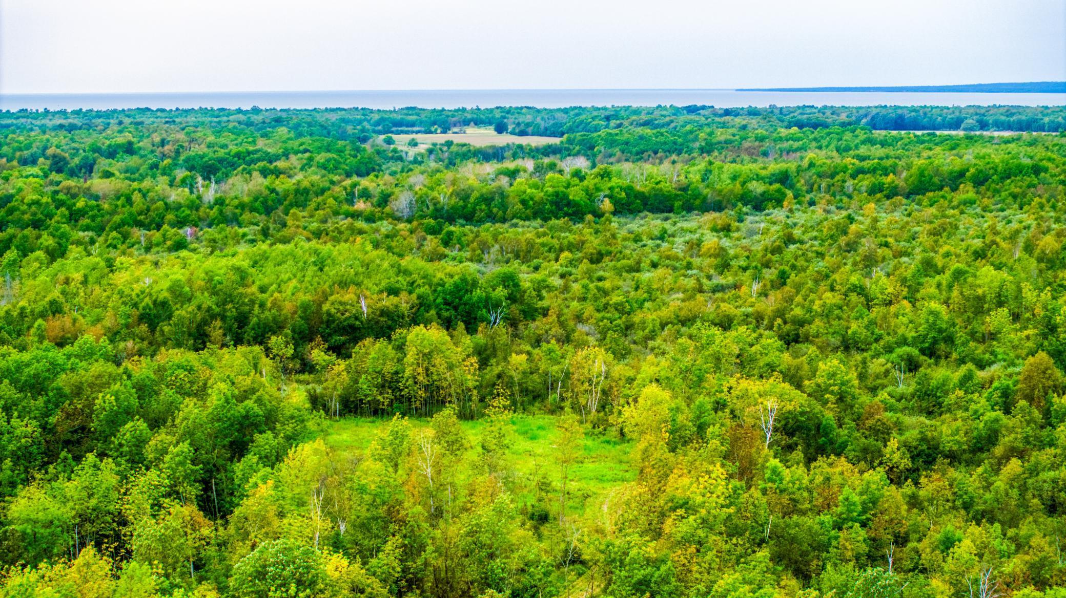 12479 Battle Road Northeast Blackduck, MN 56630 - Photo 18 of 37