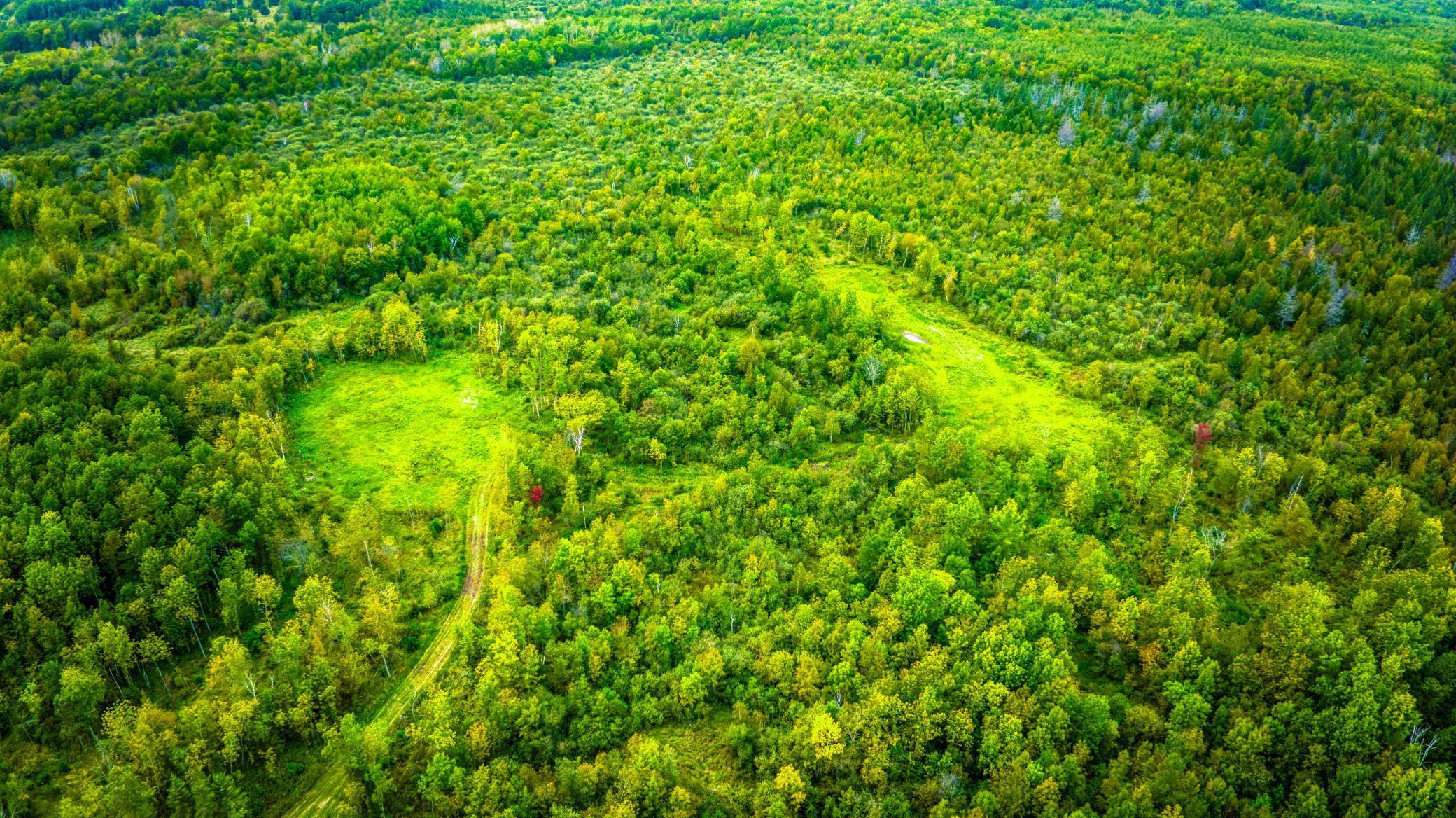 12479 Battle Road Northeast Blackduck, MN 56630 - Photo 19 of 37