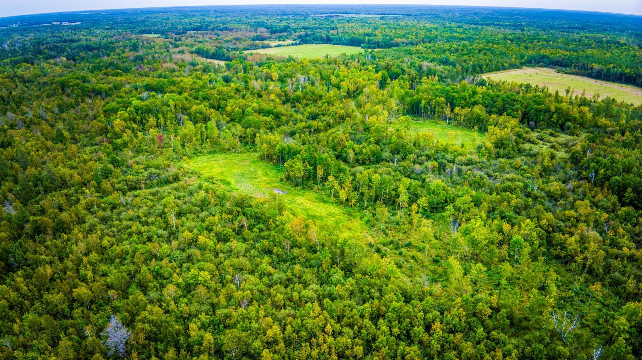 12479 Battle Road Northeast Blackduck, MN 56630 - Photo 21 of 37