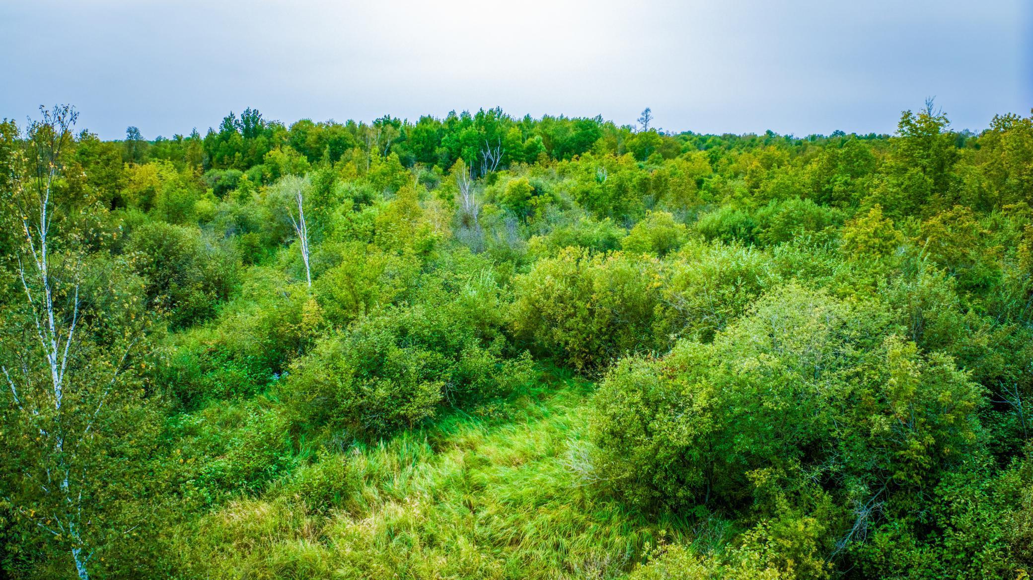 12479 Battle Road Northeast Blackduck, MN 56630 - Photo 22 of 37