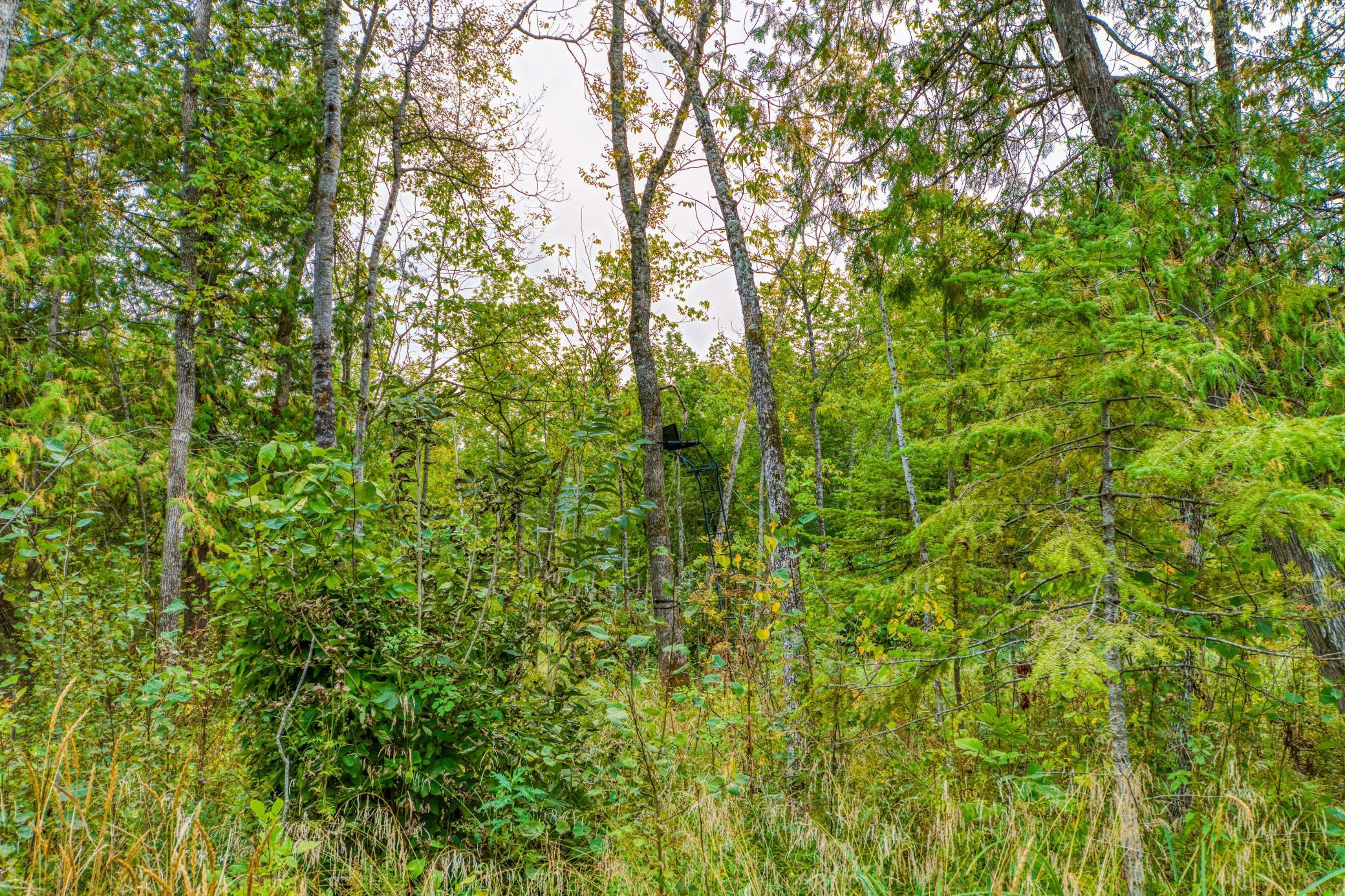 12479 Battle Road Northeast Blackduck, MN 56630 - Photo 35 of 37