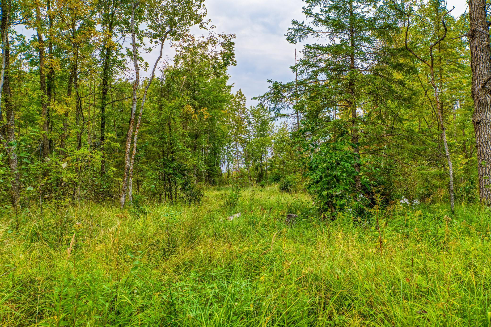 12479 Battle Road Northeast Blackduck, MN 56630 - Photo 36 of 37