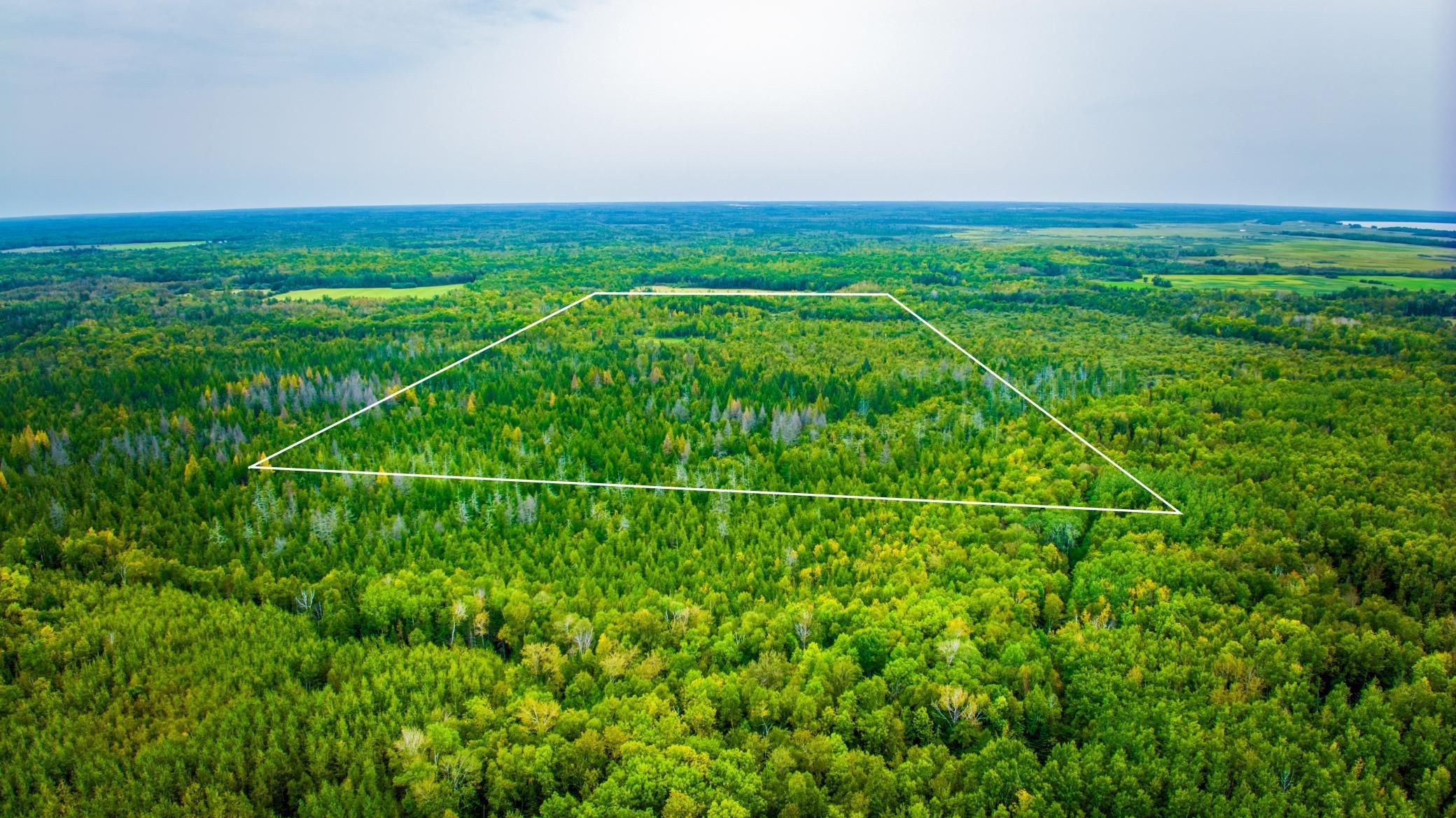 12479 Battle Road Northeast Blackduck, MN 56630 - Photo 5 of 37