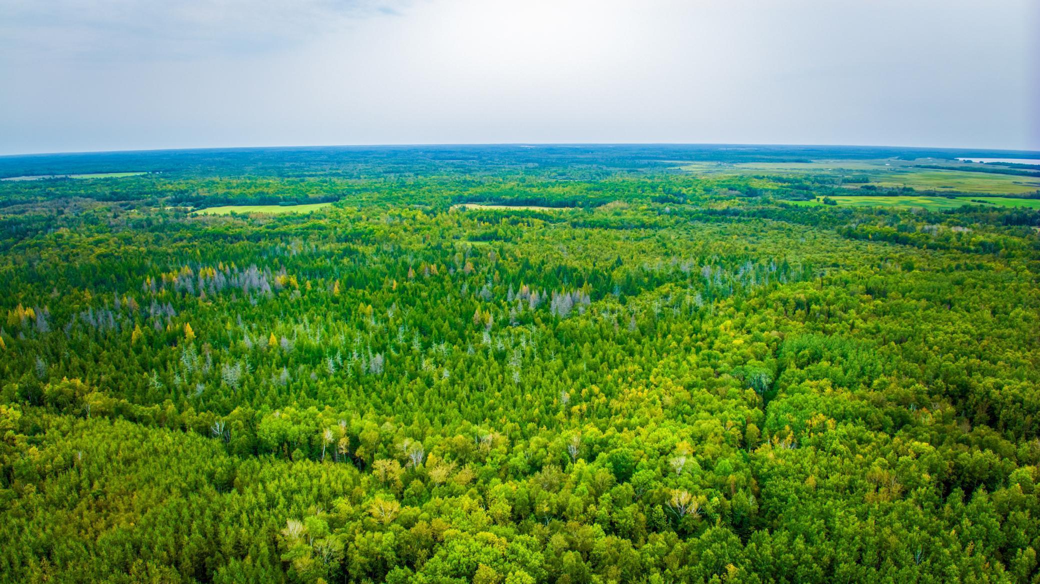12479 Battle Road Northeast Blackduck, MN 56630 - Photo 7 of 37