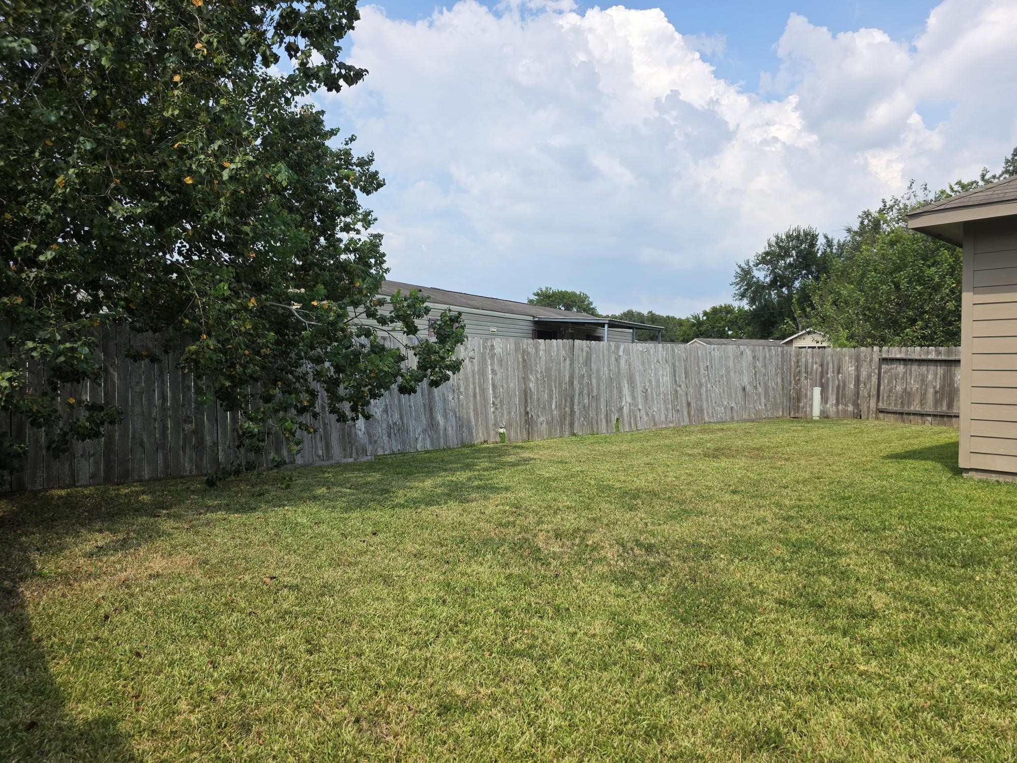 3219 Creole Bay Lane Rosenberg, TX 77471 - Photo 30 of 35 a view of a backyard with large trees and wooden fence