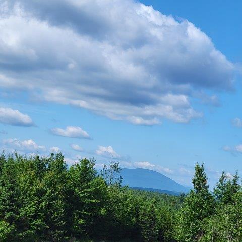 T4 Wadleigh Pond Road Millinocket, ME 04462 - Photo 32 of 38 Headed to North Twin
