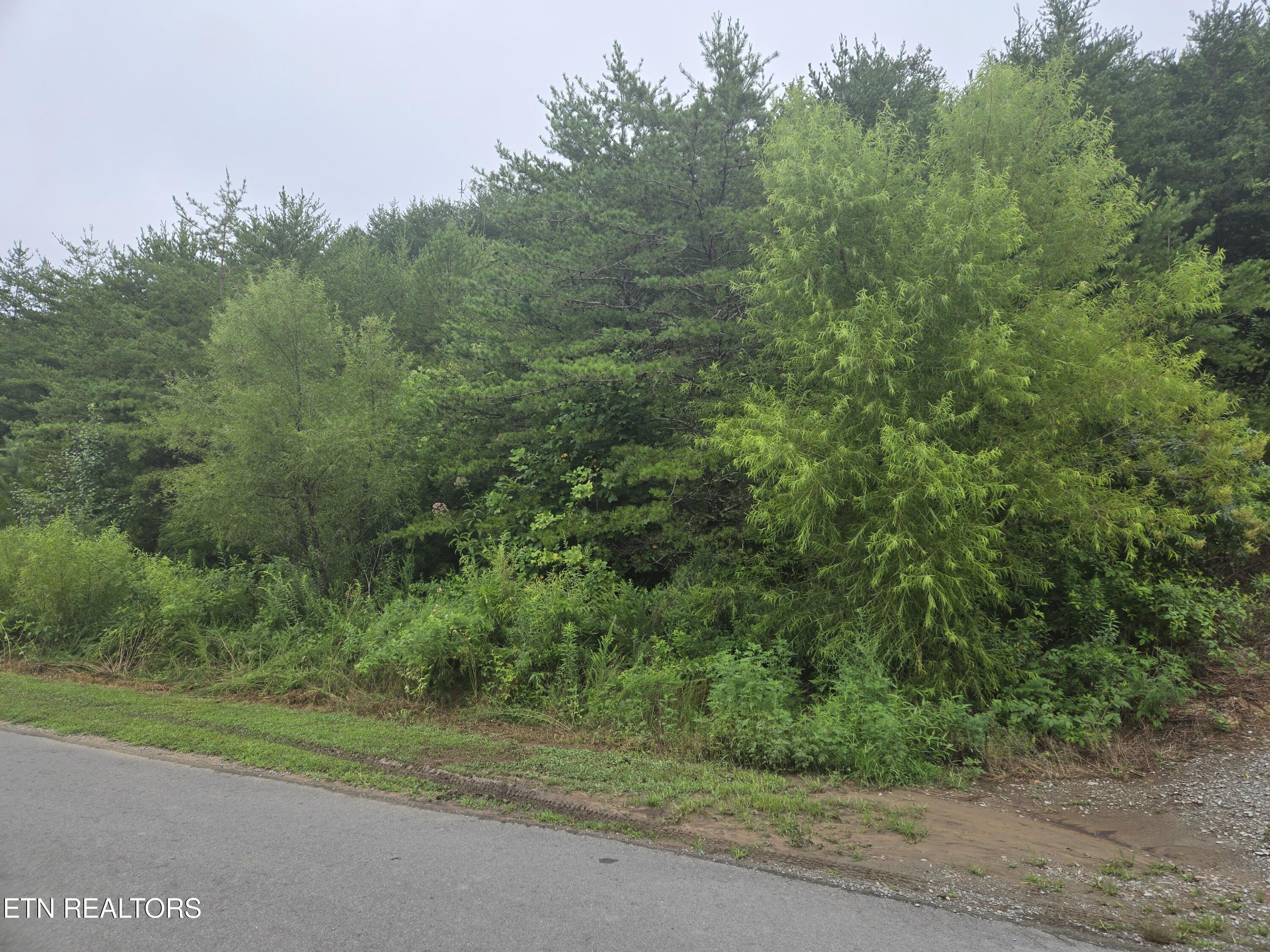 Marina Landing Road Tazewell, TN 37879 - Photo 2 of 6 LNL-3