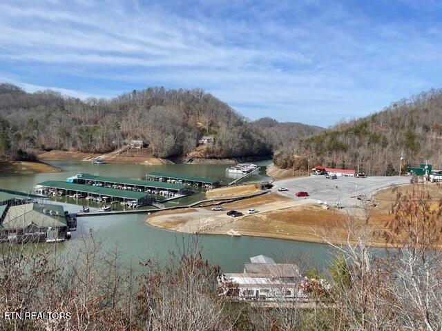 Marina Landing Road Tazewell, TN 37879 - Photo 5 of 6 489374474_812325844453729_15420473284895