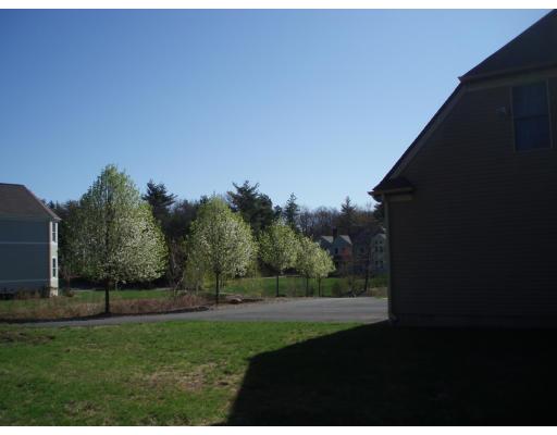 29 Old Town Road Walpole, MA 02081 - Photo 29 of 30 Gallery Image 29