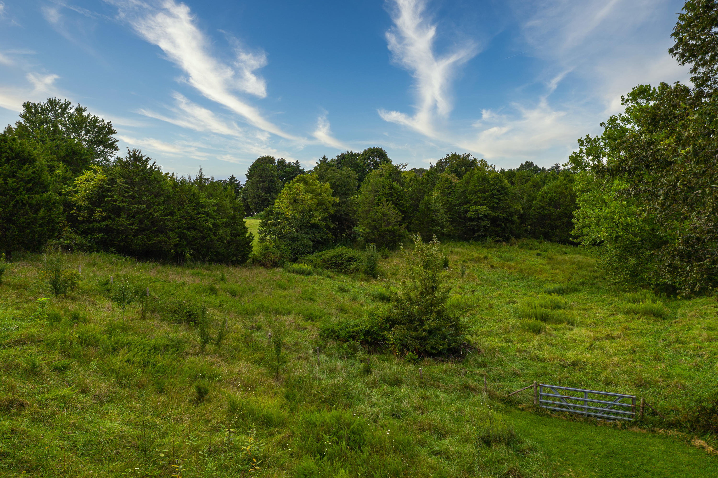 1768 Trinity Road Troutville, VA 24175 - Photo 5 of 15 8.27 Acres