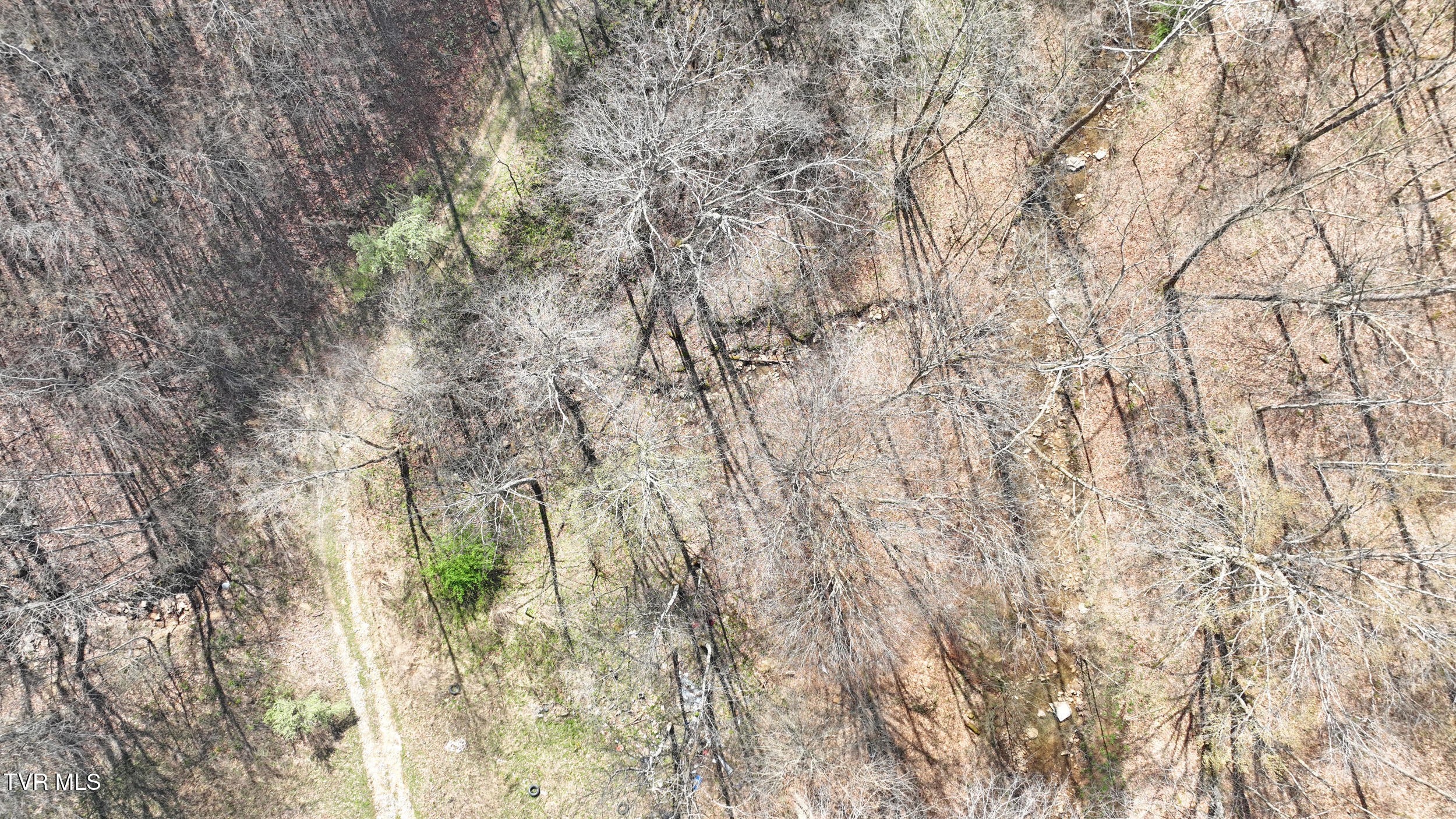 0 Guesses Fork Road Hurley, VA 24620 - Photo 23 of 31 IMG_7469